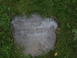 image of grave number 342100